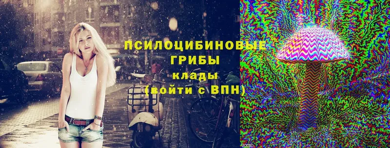 Галлюциногенные грибы Cubensis  Полярный 